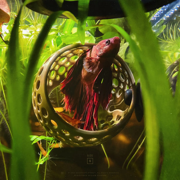 Red betta fish resting our Cave Lounge Hammock aquarium ornament for betta, fish and shrimp byMazy. t4option0_0