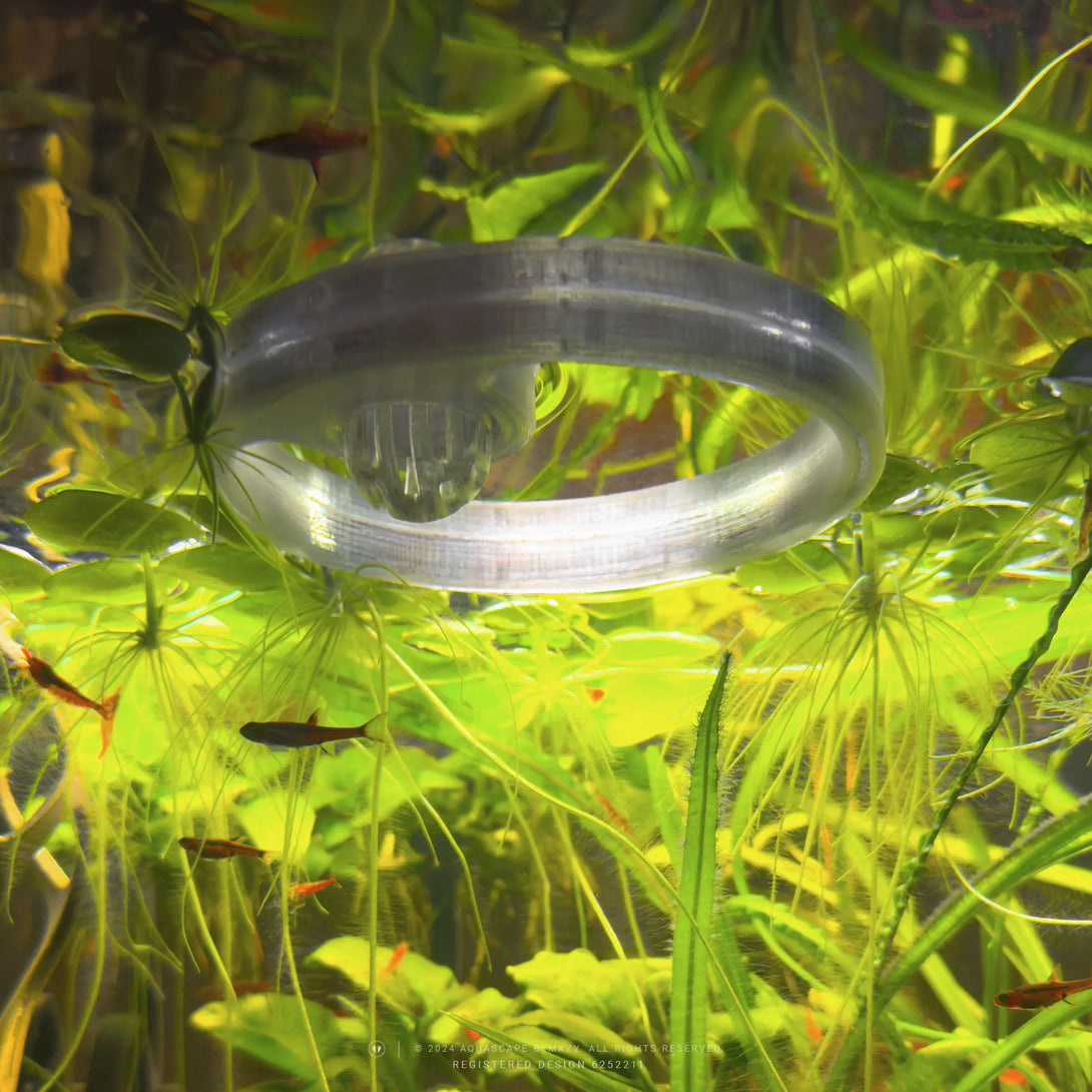 Floating Fish Feeding Ring with Worm Feeder Cone - Fish Tank Portals
