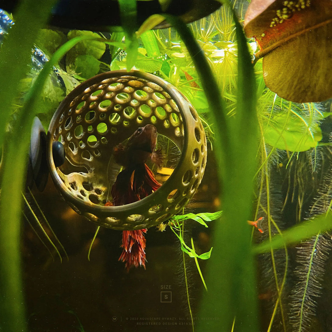 Cave Lounge Hammock - Aquarium Ornament for Betta, Fish, and Shrimp