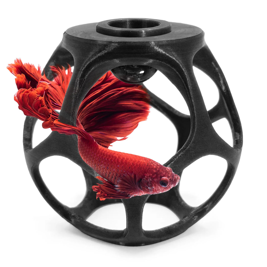 Floating Betta Play-Ball with Live/Frozen Fish Food / Worm Feeder Cone