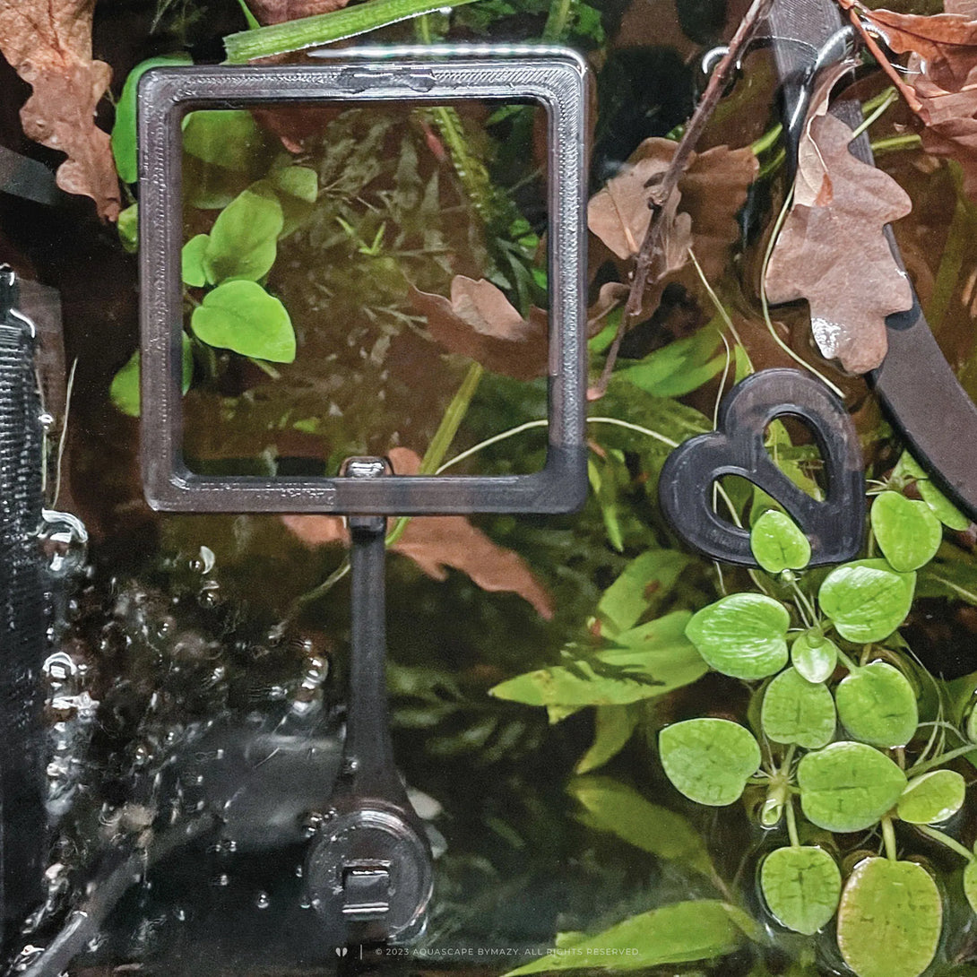 Square fish tank portal and arm connector to keep floating feeders from moving around byMazy.