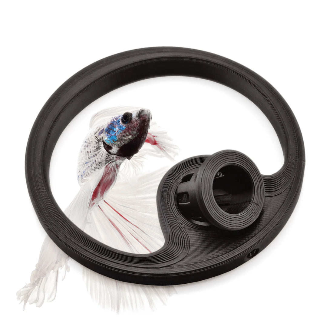 Betta Fish Feeding Ring with Worm Feeder Cone - Floating Fish Tank Portal