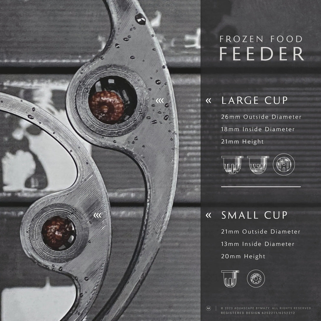 Betta Fish Feeding Ring with Worm Feeder Cone - Floating Fish Tank Portal