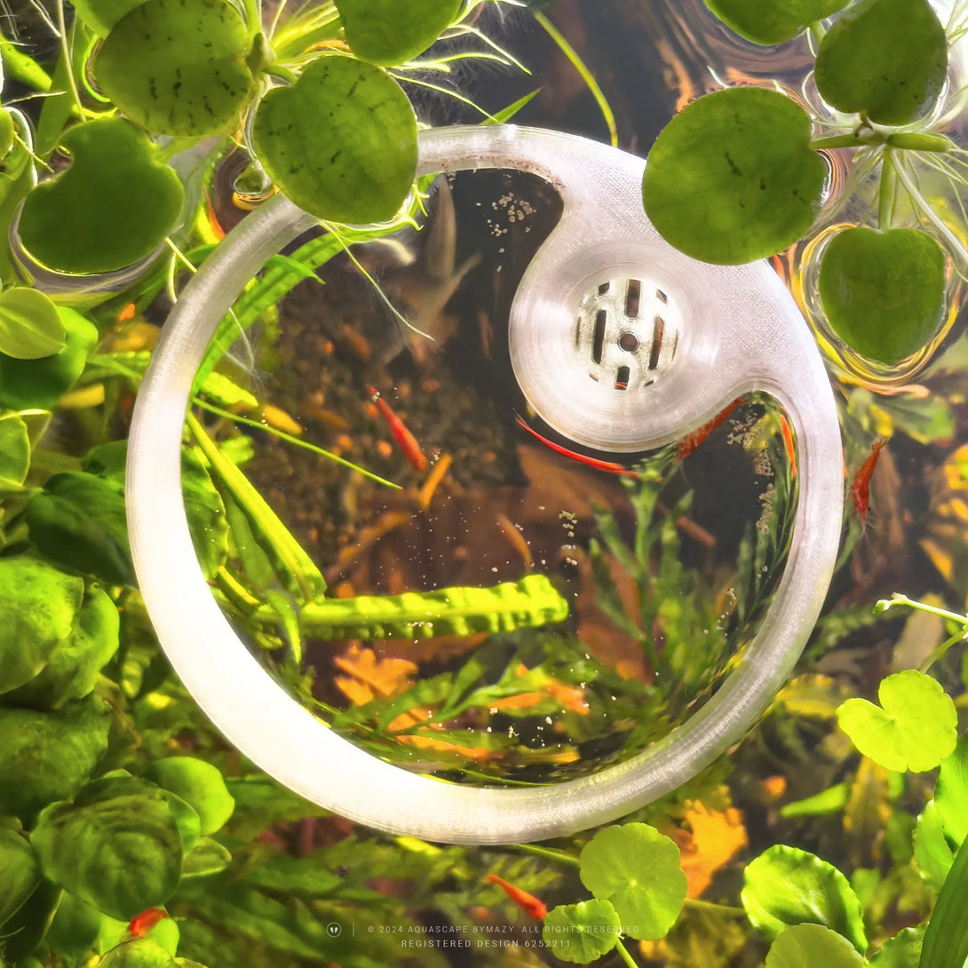 Betta Fish Feeding Ring with Worm Feeder Cone - Floating Fish Tank Portal