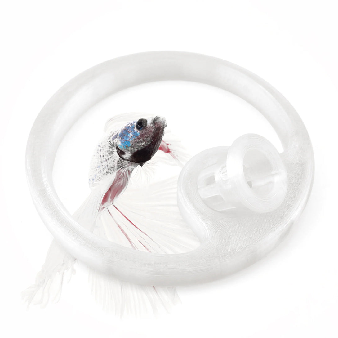 Betta Fish Feeding Ring with Worm Feeder Cone - Floating Fish Tank Portal