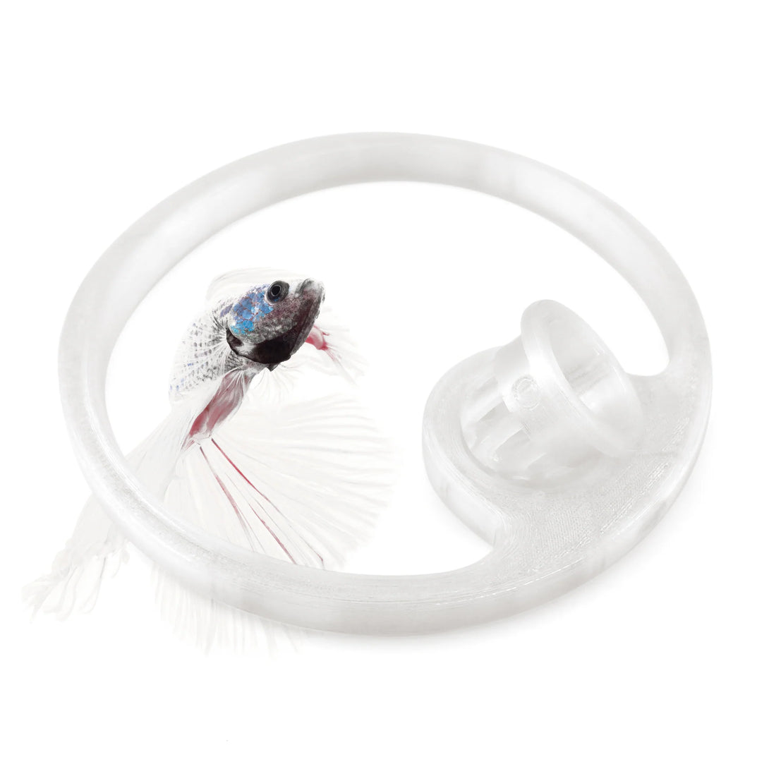 Betta Fish Feeding Ring with Worm Feeder Cone - Floating Fish Tank Portal