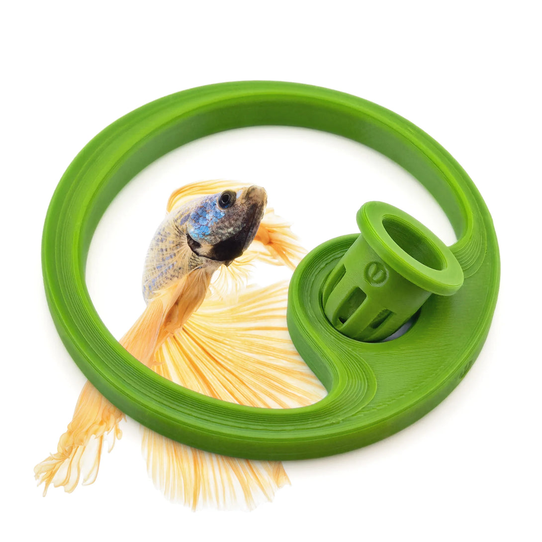 Betta Fish Feeding Ring with Worm Feeder Cone - Floating Fish Tank Portal