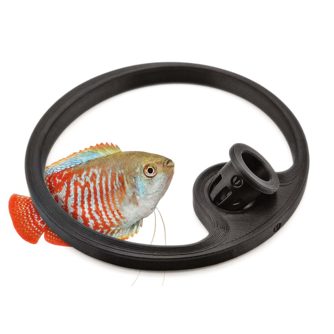 Betta Fish Feeding Ring with Worm Feeder Cone - Floating Fish Tank Portal
