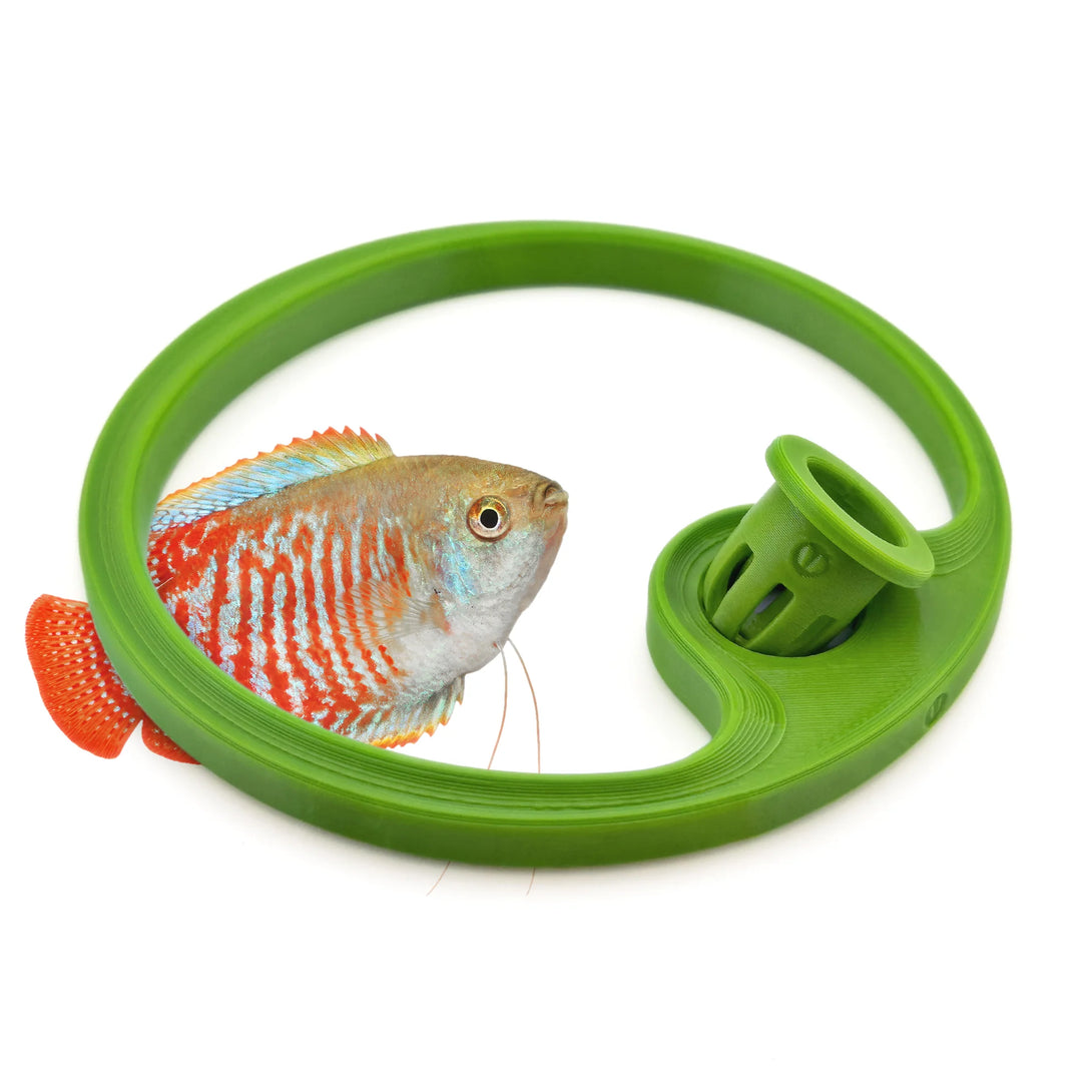 Betta Fish Feeding Ring with Worm Feeder Cone - Floating Fish Tank Portal