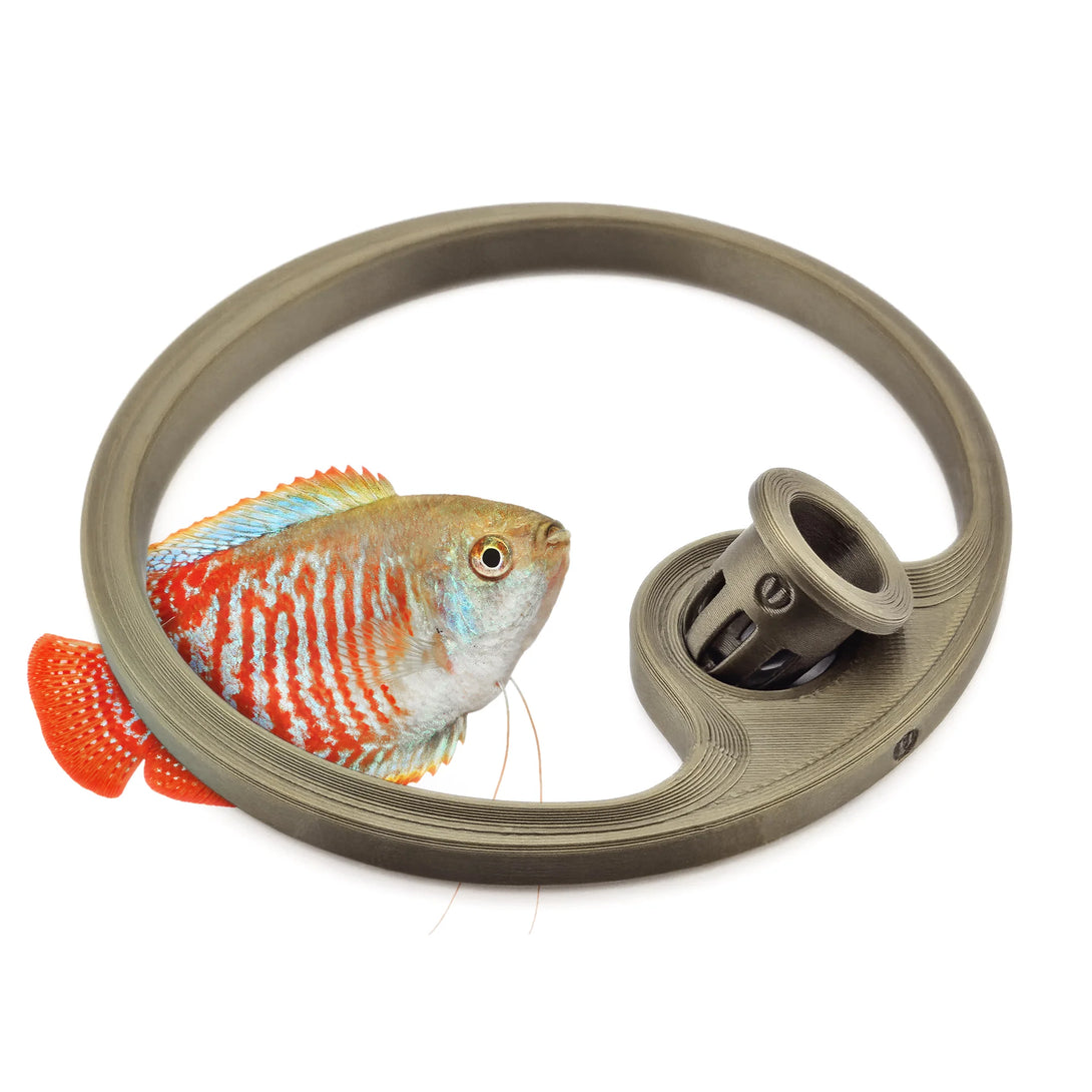 Betta Fish Feeding Ring with Worm Feeder Cone - Floating Fish Tank Portal