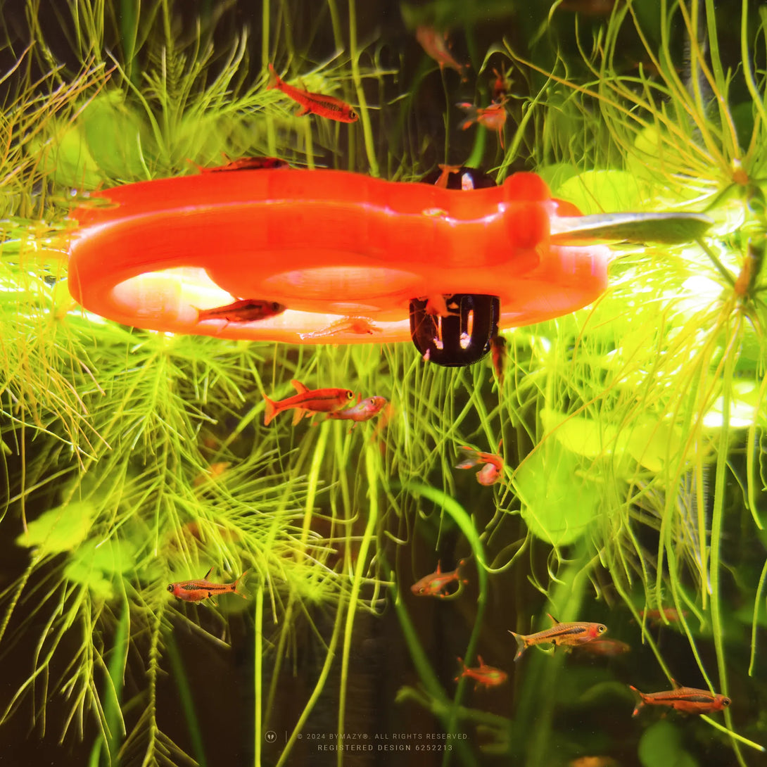 Pumpkin Jack Floating Fish Feeding Ring with Worm Feeder Cone - Halloween Aquarium Decor