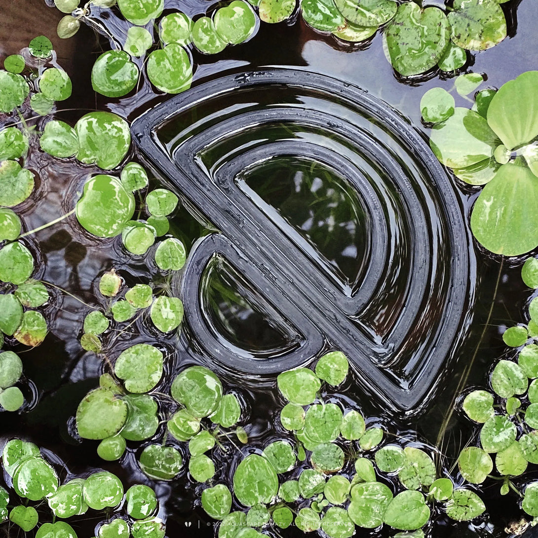 Semi-circle duckweed corral and floating feeder fish feeding ring.